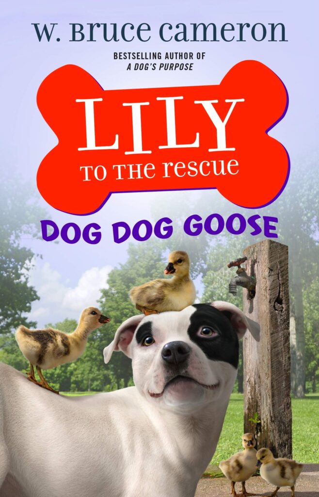 Lily to the Rescue: Dog Dog Goose Front Cover