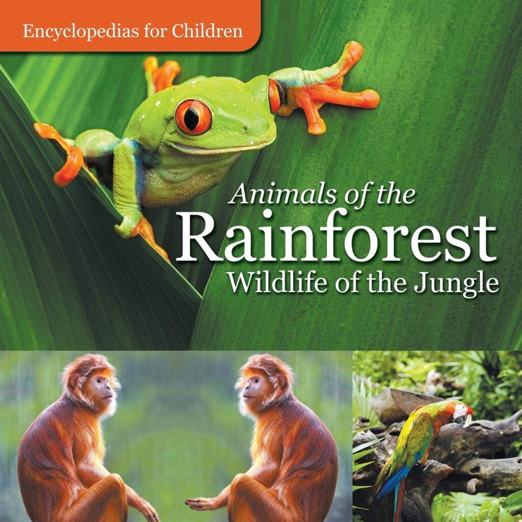 Animals of the Rainforest Wildlife of the Jungle Front Cover