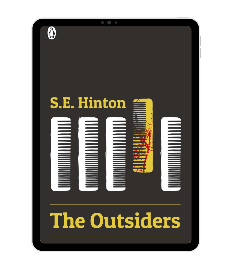 The Outsiders by S E Hinton book cover