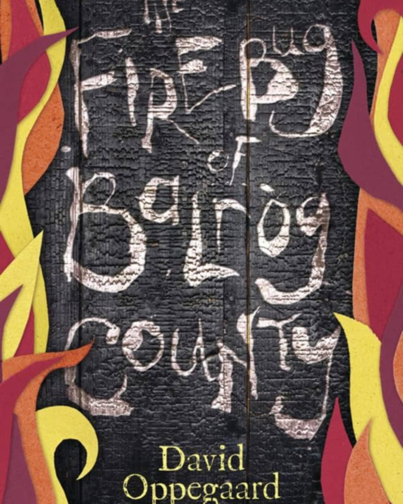 The Firebug of Balrog County by David Oppegaard book cover