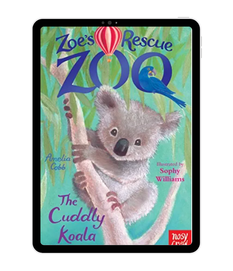 Amelia Cobb - The Cuddly Koala book cover