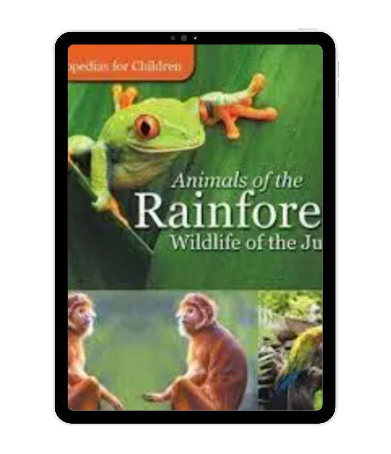 Baby Professor - Animals of the Rainforest Wildlife of the Jungle​ book cover