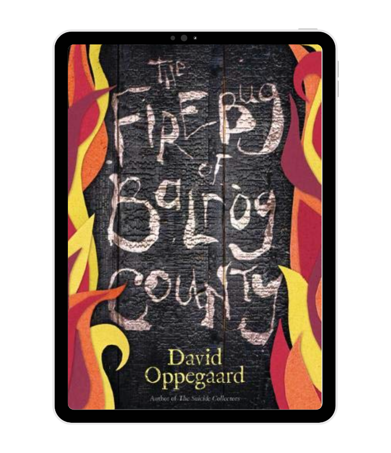 The Firebug of Balrog County by David Oppegaard book cover