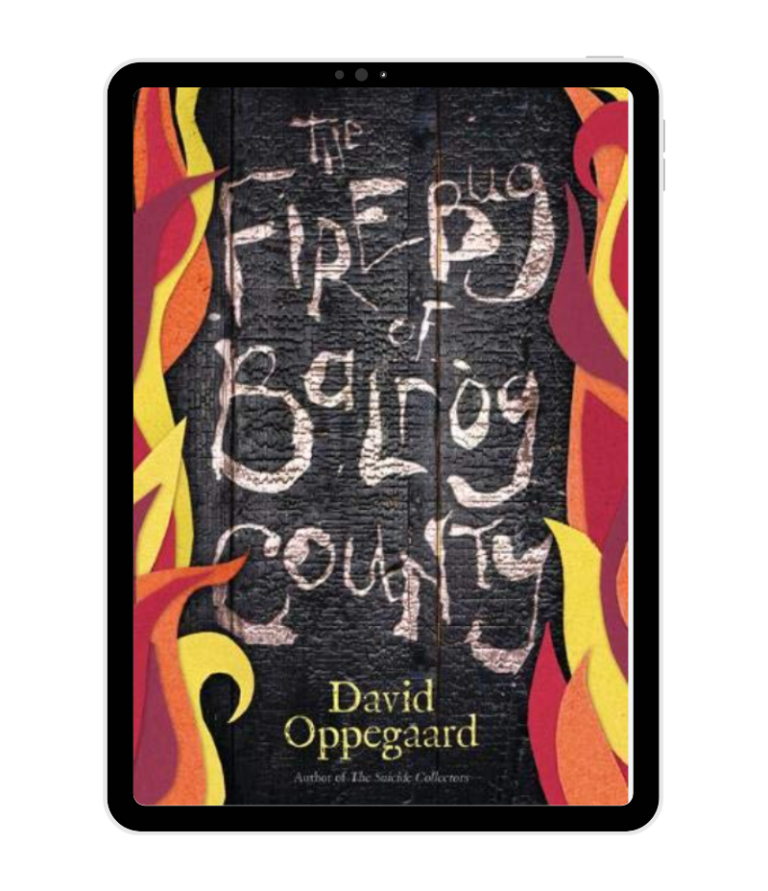 The Firebug of Balrog County by David Oppegaard​ book cover