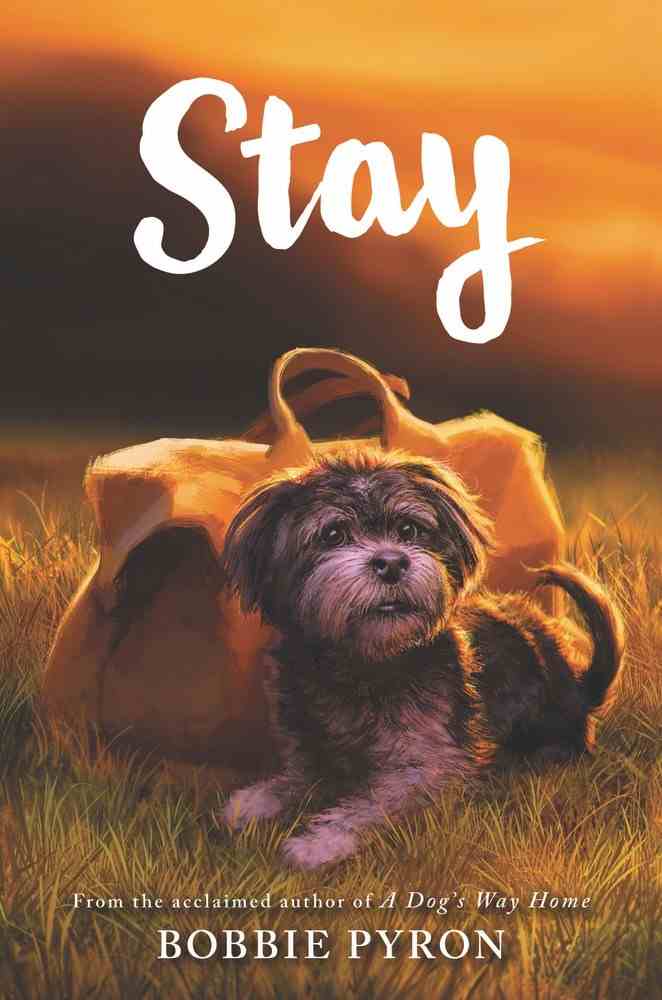 Stay Front Cover
