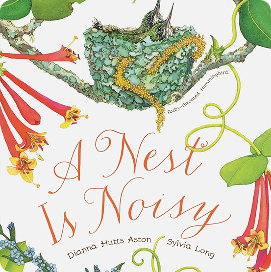 A nest is noisy
